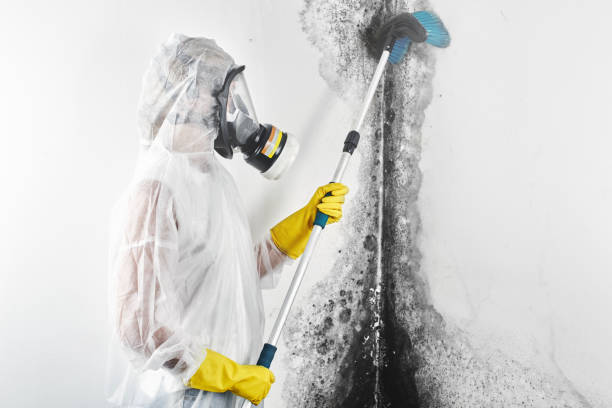 Best Mold Remediation for Healthcare Facilities  in Leetonia, OH