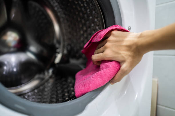 Reliable Leetonia, OH Mold Removal Solutions