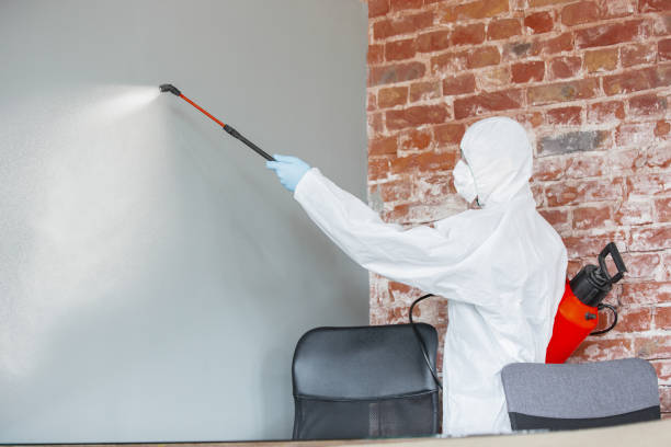Best Environmental Consulting for Mold Prevention  in Leetonia, OH