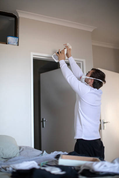 Best Mold Documentation for Insurance Claims  in Leetonia, OH
