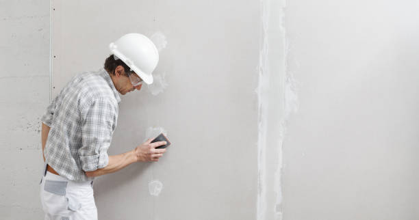 Best Commercial Mold Inspection  in Leetonia, OH