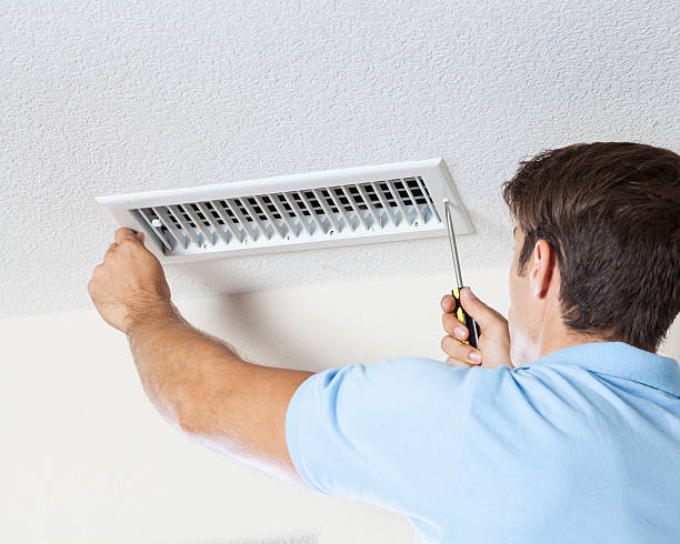 Best Black Mold Removal  in Leetonia, OH
